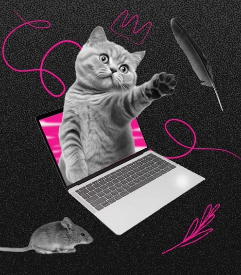 A cat playfully reaches out from a laptop screen, surrounded by digital elements like a pink crown, a feather, and a mouse, set against a textured black background.